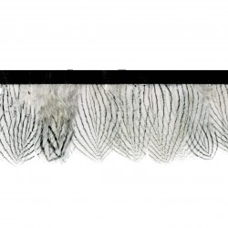 Galón plumas (Ref. 04-03508)