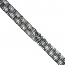 Pasamanería strass 25 mm...