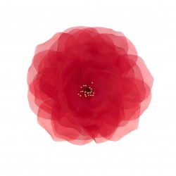 Rosa organza con semillas...