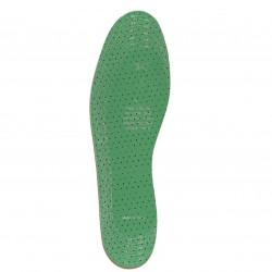 Plantilla en clorofila...